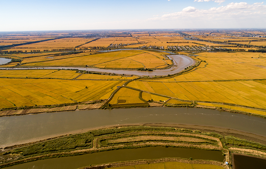 牡丹江长粒香基地