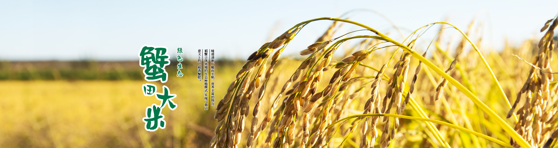 渤海米业
